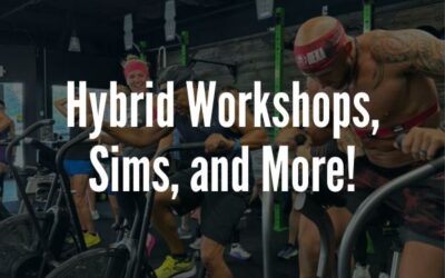 Hybrid Workshops, Sims, and More!